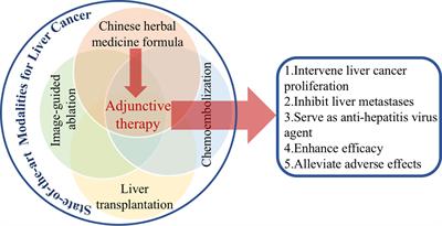 Uncovering the Anticancer Mechanisms of Chinese Herbal Medicine Formulas: Therapeutic Alternatives for Liver Cancer